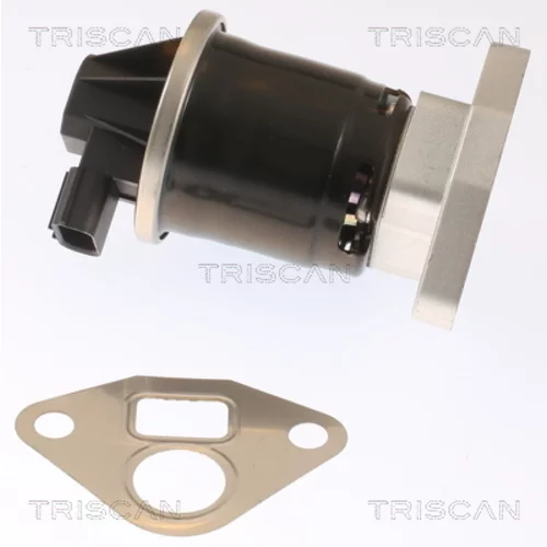 EGR ventil TRISCAN 8813 40003