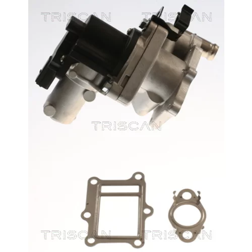 EGR ventil 8813 43017 /TRISCAN/ - obr. 3