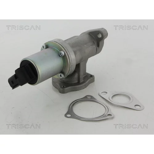EGR ventil TRISCAN 8813 43100