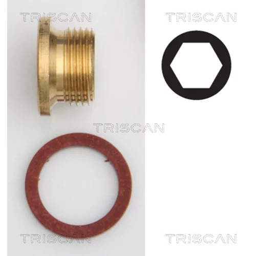 Skrutka olejovej vane TRISCAN 9500 1005
