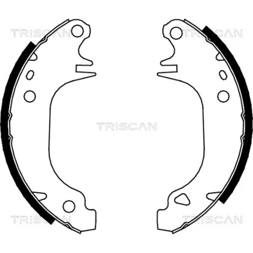 Sada brzdových čeľustí 8100 10372 /TRISCAN/