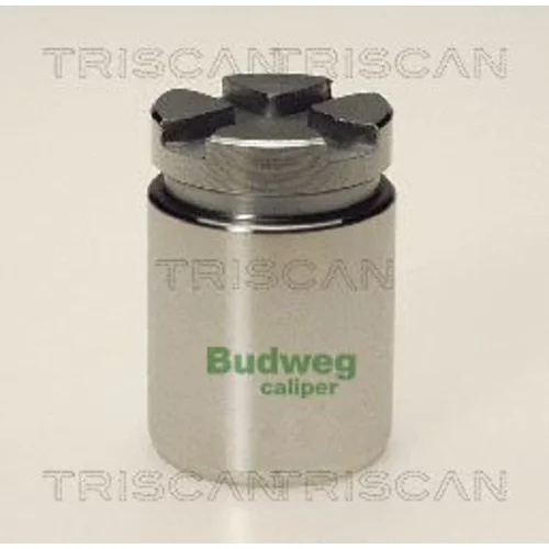 Piest brzdového strmeňa 8170 233012 /TRISCAN/
