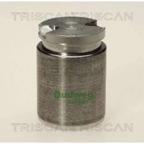 Piest brzdového strmeňa 8170 233202 /TRISCAN/