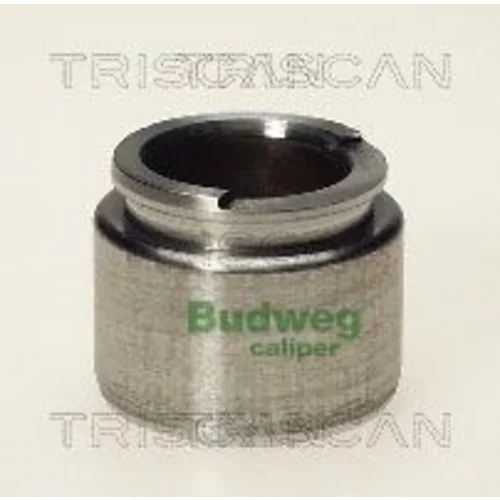 Piest brzdového strmeňa 8170 233504 /TRISCAN/
