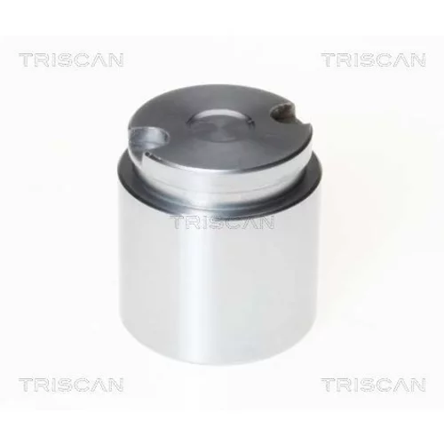 Piest brzdového strmeňa 8170 233858 /TRISCAN/