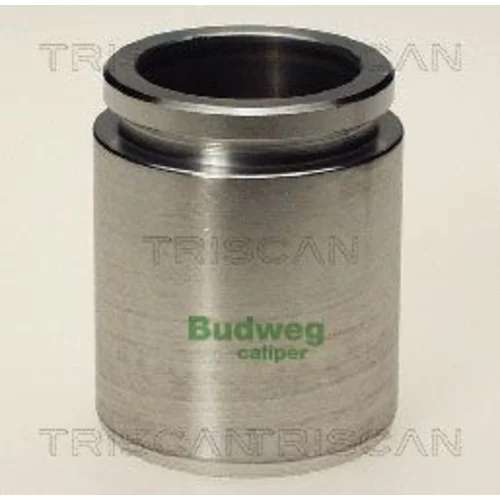 Piest brzdového strmeňa 8170 234028 /TRISCAN/