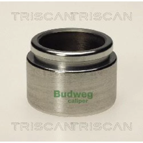 Piest brzdového strmeňa TRISCAN 8170 234209