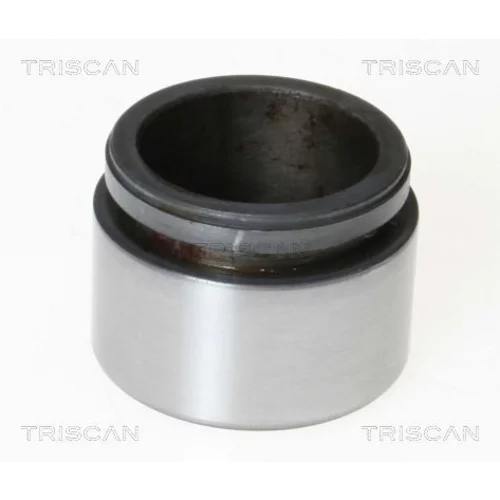 Piest brzdového strmeňa 8170 234226 /TRISCAN/