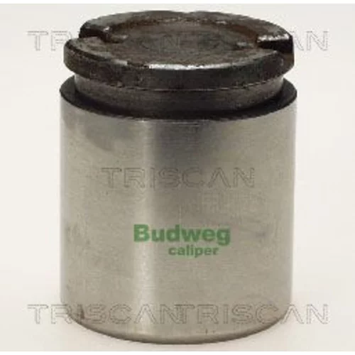 Piest brzdového strmeňa 8170 234315 /TRISCAN/