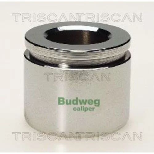 Piest brzdového strmeňa 8170 234409 /TRISCAN/