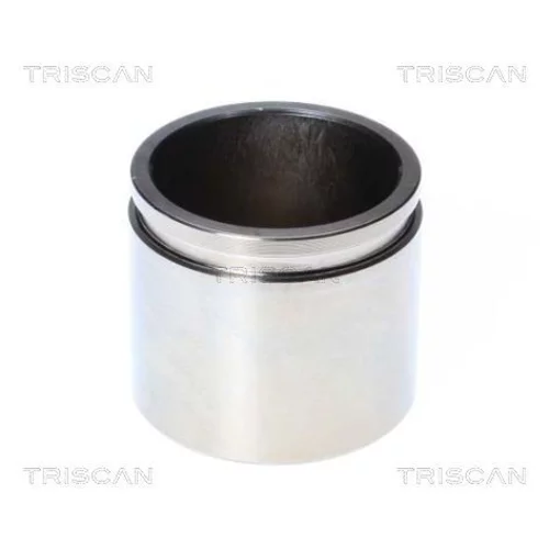 Piest brzdového strmeňa 8170 235479 /TRISCAN/