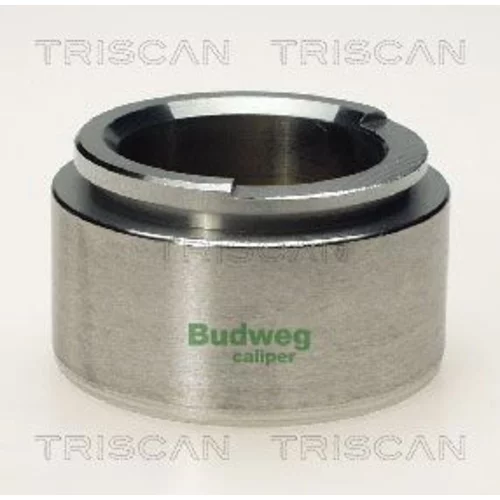 Piest brzdového strmeňa 8170 235702 /TRISCAN/