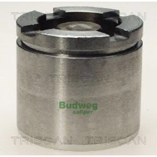 Piest brzdového strmeňa 8170 235713 /TRISCAN/