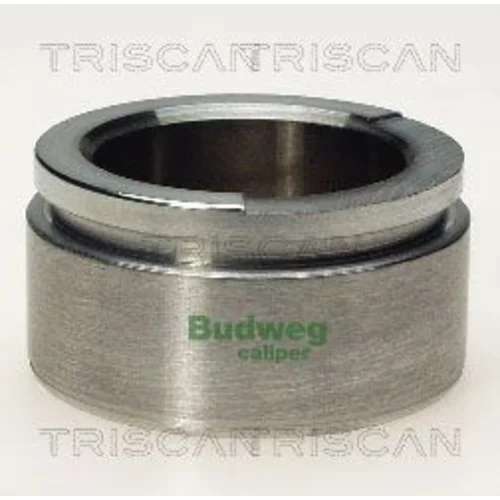 Piest brzdového strmeňa 8170 236004 /TRISCAN/