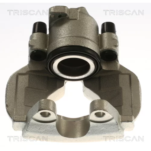 Brzdový strmeň TRISCAN 8175 29169