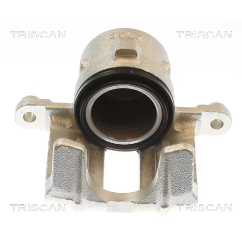 Brzdový strmeň TRISCAN 8175 69103