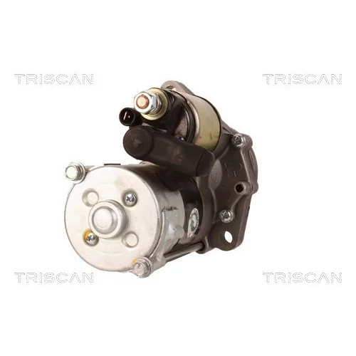 Štartér 8305 10065 /TRISCAN/ - obr. 4