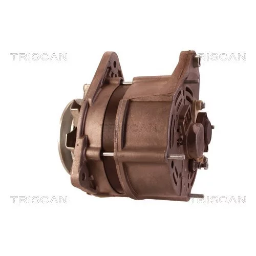 Alternátor 8310 10010 /TRISCAN/ - obr. 7