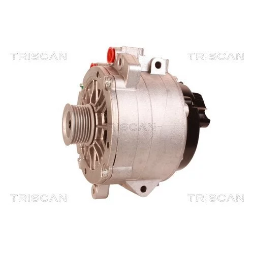 Alternátor 8310 10022 /TRISCAN/ - obr. 6