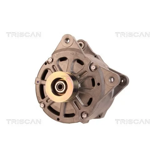 Alternátor 8310 10040 /TRISCAN/ - obr. 5