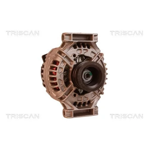 Alternátor 8310 10065 /TRISCAN/ - obr. 4