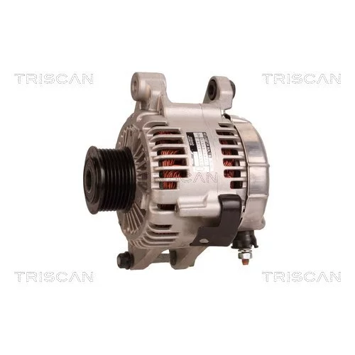 Alternátor 8310 10109 /TRISCAN/ - obr. 6