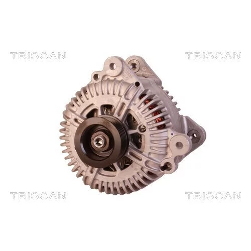 Alternátor 8310 10123 /TRISCAN/ - obr. 5