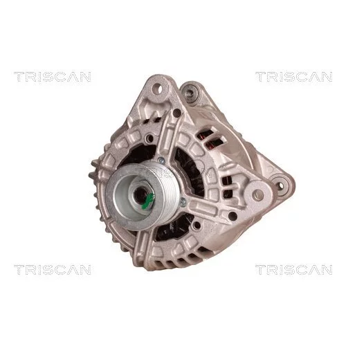 Alternátor 8310 10150 /TRISCAN/ - obr. 5