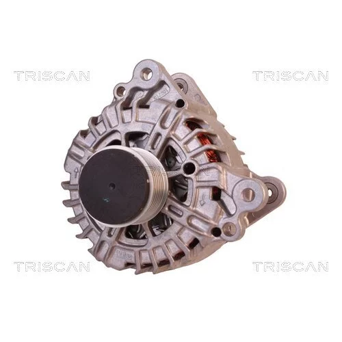 Alternátor 8310 10165 /TRISCAN/ - obr. 5