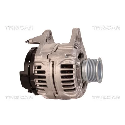 Alternátor 8310 10169 /TRISCAN/ - obr. 3