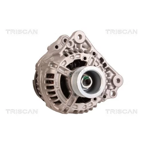 Alternátor 8310 10169 /TRISCAN/ - obr. 4
