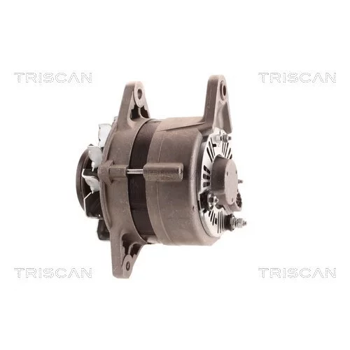 Alternátor 8310 10177 /TRISCAN/ - obr. 2