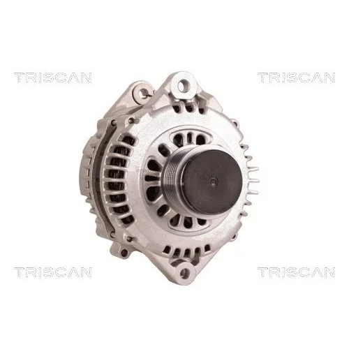 Alternátor 8310 11017 /TRISCAN/ - obr. 4