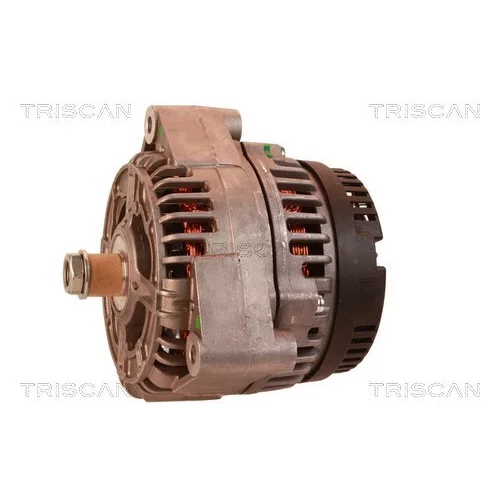 Alternátor 8310 13002 /TRISCAN/ - obr. 6