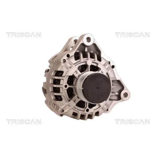 Alternátor 8310 13056 /TRISCAN/ - obr. 4