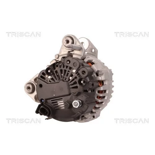 Alternátor 8310 13062 /TRISCAN/ - obr. 1