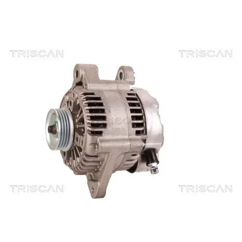 Alternátor 8310 15008 /TRISCAN/ - obr. 6