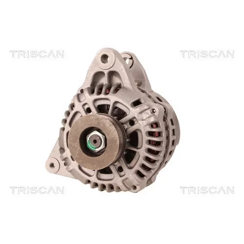 Alternátor 8310 16015 /TRISCAN/ - obr. 5