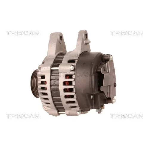 Alternátor 8310 16015 /TRISCAN/ - obr. 7