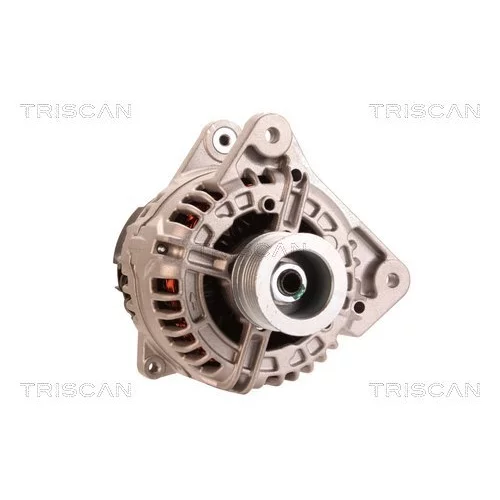 Alternátor 8310 16033 /TRISCAN/ - obr. 4