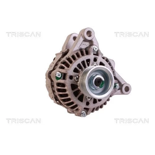 Alternátor 8310 17005 /TRISCAN/ - obr. 4