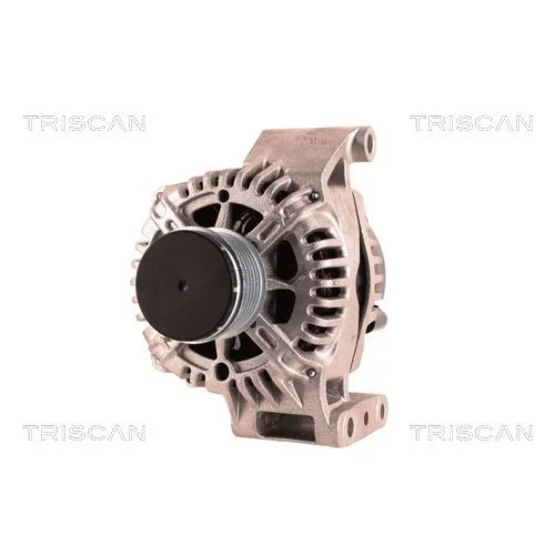 Alternátor 8310 23008 /TRISCAN/ - obr. 5