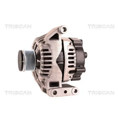 Alternátor 8310 23008 /TRISCAN/ - obr. 6