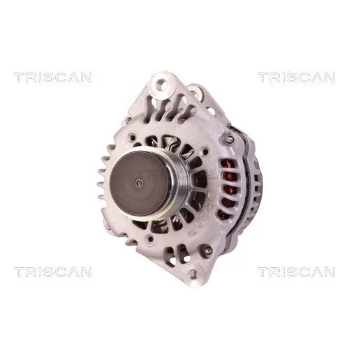 Alternátor 8310 23044 /TRISCAN/ - obr. 5