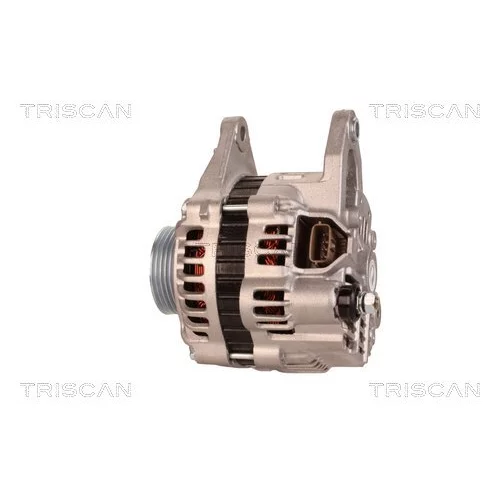 Alternátor 8310 23053 /TRISCAN/ - obr. 7