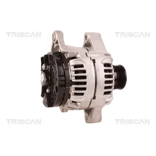 Alternátor 8310 24014 /TRISCAN/ - obr. 2