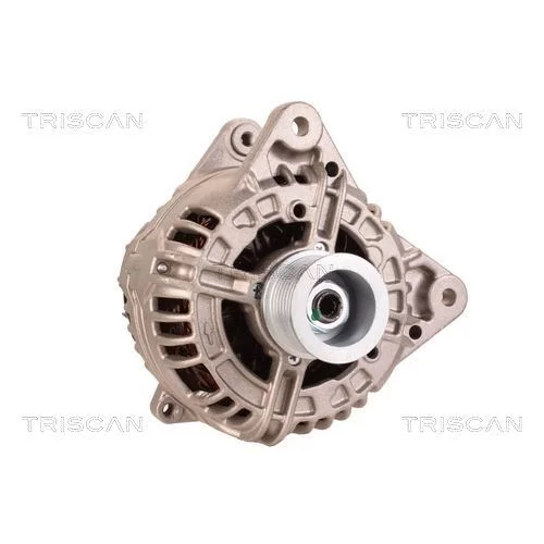 Alternátor 8310 24016 /TRISCAN/ - obr. 4