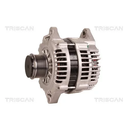 Alternátor 8310 24016 /TRISCAN/ - obr. 6