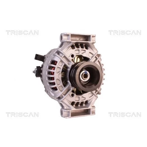 Alternátor 8310 24025 /TRISCAN/ - obr. 4