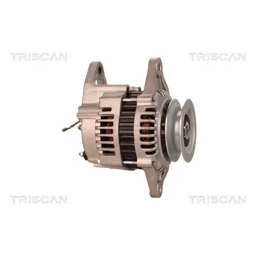Alternátor 8310 25031 /TRISCAN/ - obr. 3
